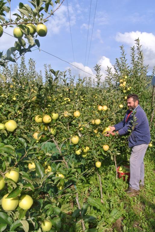 פרג'ינה ולסוגאנה Agriturismo Bortolotti מראה חיצוני תמונה