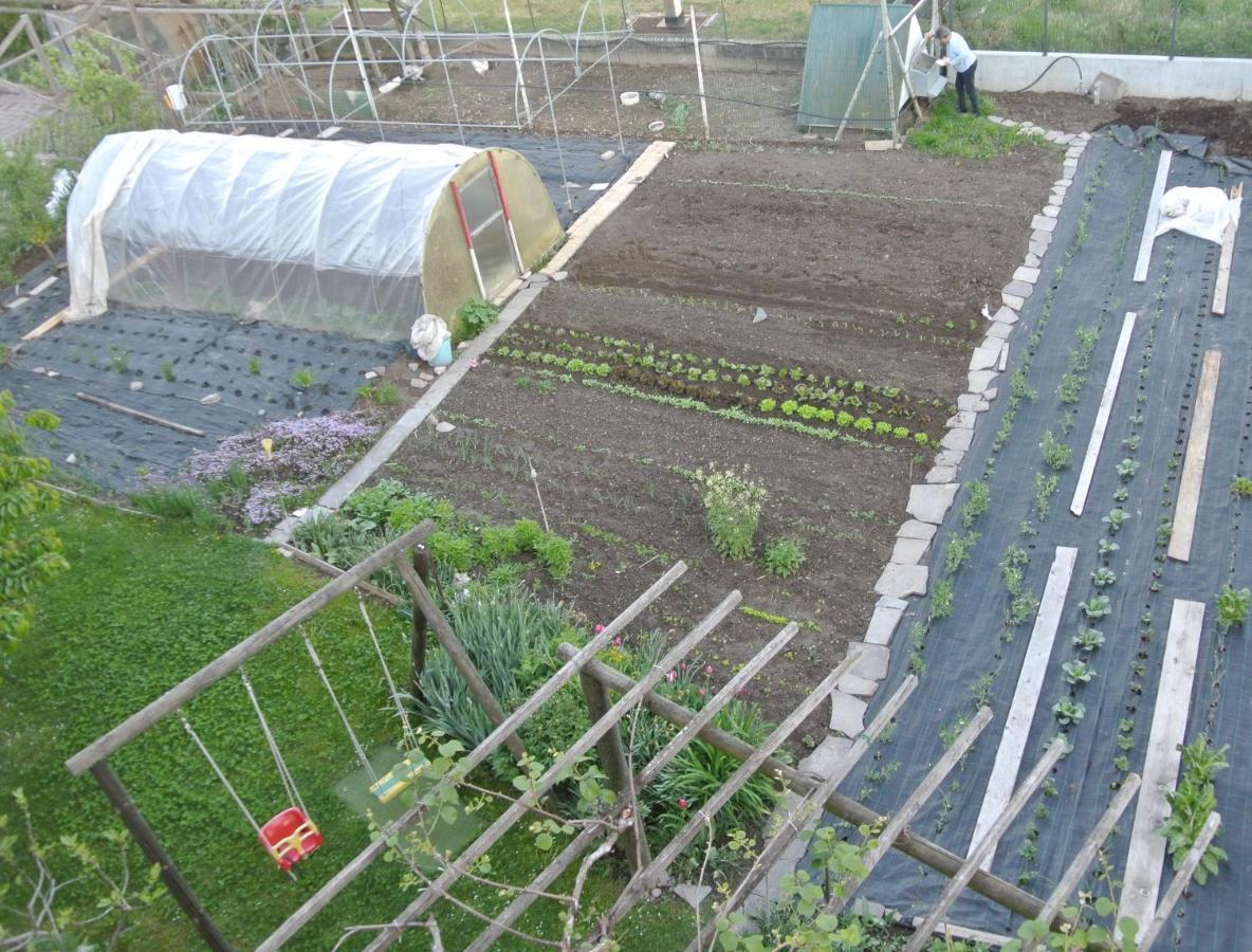 פרג'ינה ולסוגאנה Agriturismo Bortolotti מראה חיצוני תמונה